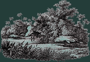 Die Htten der Patachos. Aus Maximilian Prinz zu Wied (1821): Reise nach Brasilien